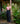 Wild Whim Black Pants